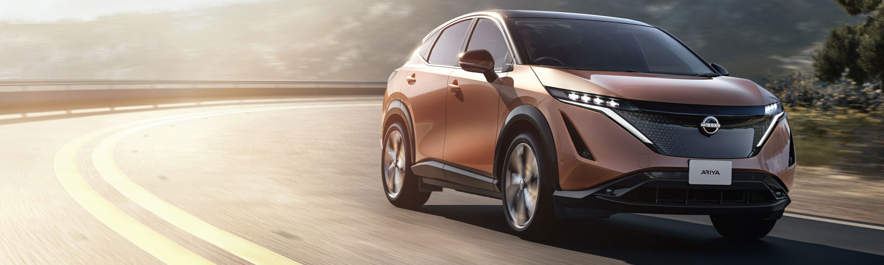 Nissan ARIYA Business Offer