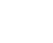 used Audi cars